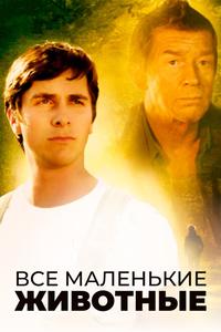 Все маленькие животные Все маленькие животные