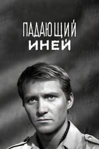 Падающий иней Падающий иней