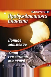 Пробуждающаяся планета